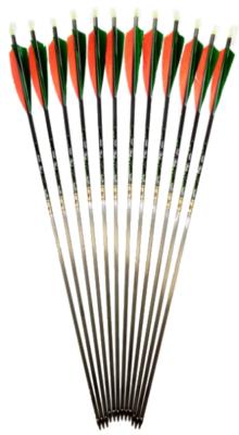 Carbon Arrows