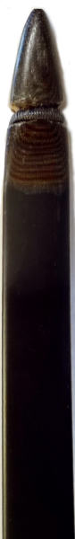Saint George Viking Longbow tip 